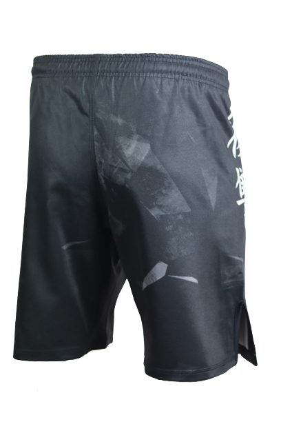 MMA Armary Kanji Vengeance Fight Shorts